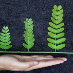 Responsible Research and Innovation (RRI)