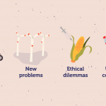 RMIT University launched micro-credential